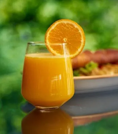 Tourist Ribarsko Ostrvo